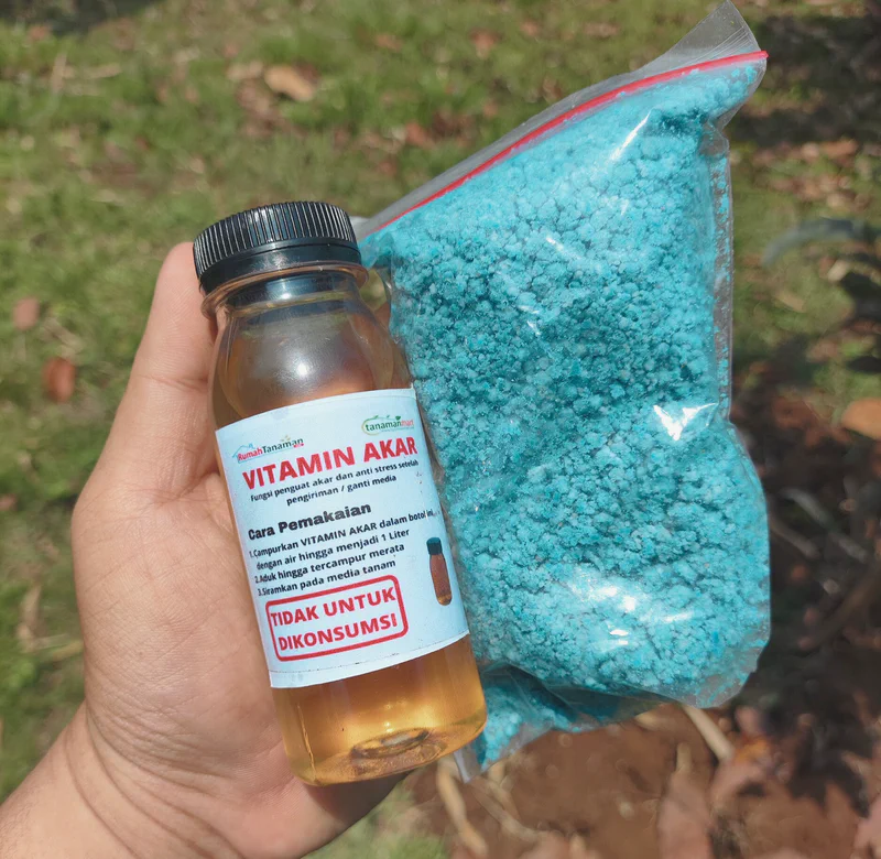 Pupuk dan vitamin yang sudah saya siapkan dari rumah