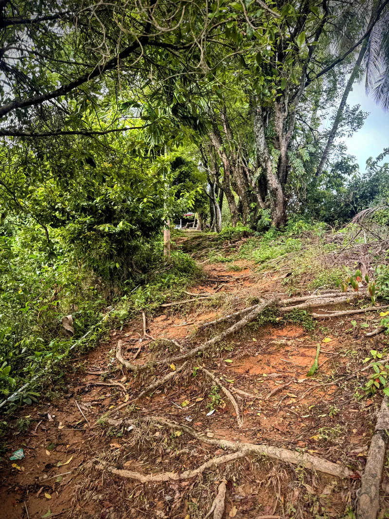 Jalur hiking di Gunung Padang